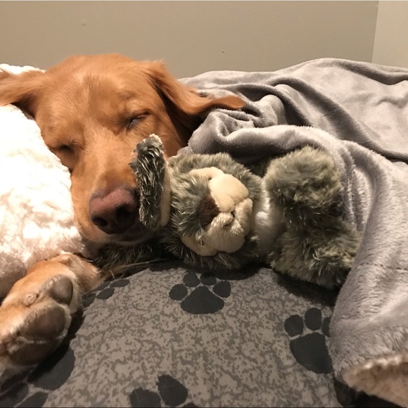 MEET YOUR POSHER👑🌸 - Picture 4 of 8